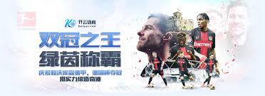 开云体育入口平台 - 官方正版体验